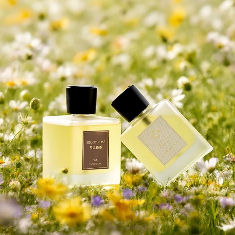 Home Living Room Fresh Fragran - Home Fragrance Room Spray のレビューと価格
