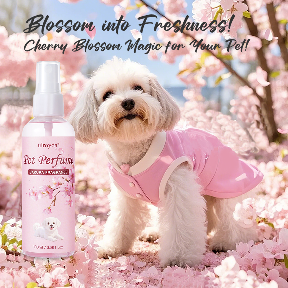 Sakura Pet Perfume Spray Long  - Home Fragrance Room Spray のレビューと価格